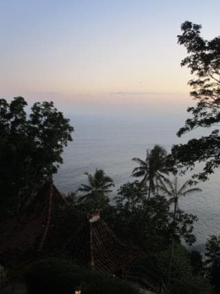 Palm trees and a tiled roof framing a calm sea at dusk on the coast where Cicely spent her first weekend beside the Indian Ocean